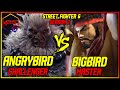 SF6 ▰  ANGRYBIRD ( AKUMA ) VS BIGBIRD ( RYU ) ▰ STREET FIGHTER 6