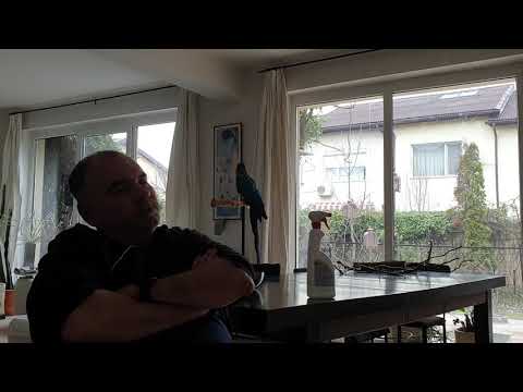 82 out of 100 for Mes Jours de Gloire aka My Days of Glory