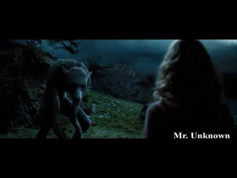 Remus Lupin si trasforma in lupo mannaro