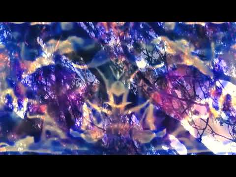 SONIC STEPS video
