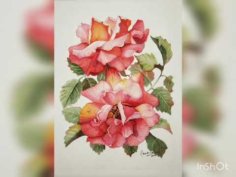 Colours can talk! Watercolours by Reetika