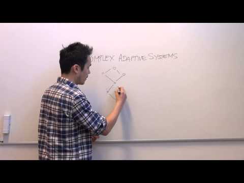 What are complex adaptive systems?