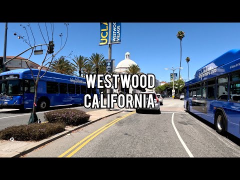 Not so famous places in Los Angeles: Westwood 