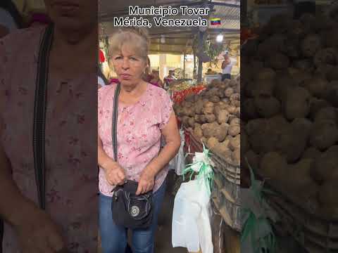 🇻🇪Normal day in MUNICIPIO TOVAR, Merida, VENEZUELA #virtualtour #merida #venezuela #municipiotovar