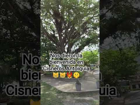 #cisneros Antioquía #hermoso lugar turistico#ferrocarrilesnacionales #la bumanguesa