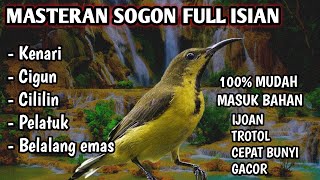 Download lagu MATERI TERBAIK !! Masteran sogon full tembakan panjang dijamin cepat masuk !! mp3