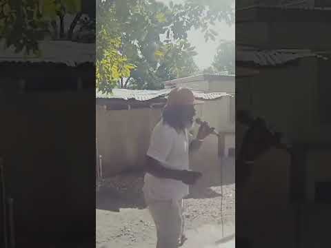 💚💛❤️ Paolo Baldini DubFiles Ft. Juba Lion - Thank You Jah #shorts