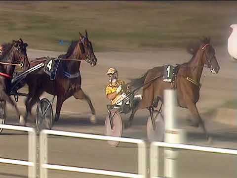 Trotto 30/06/2019 - 3ª corsa