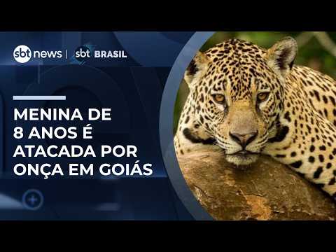 Criança de 8 anos é atacada por onça-parda em cachoeira na Chapada dos Veadeiros (GO) | #SBTBrasil