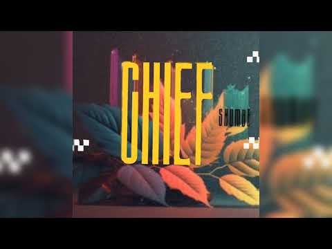 Chief Shumba Hwenje - Hona Muroyi ( Official Audio) Ft Dr Tawanda