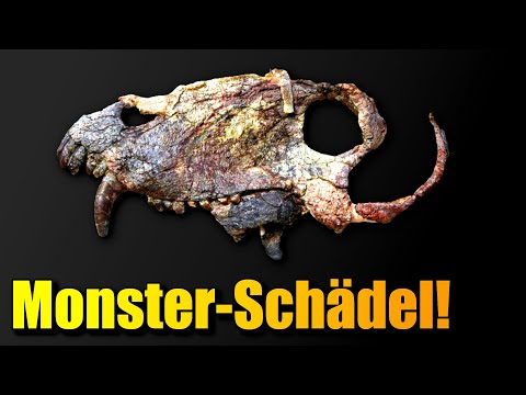 Video Thumbnail: Forscher finden RIESIGES RAUBTIER weit vor den Dinosauriern!