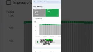 Google Crawl Error? Fix Your Indexing NOW!