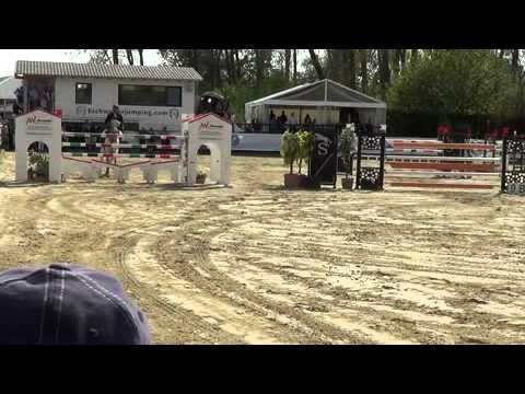 8yo gelding (Quantum - Cassini I) Grand Prix Jump Off