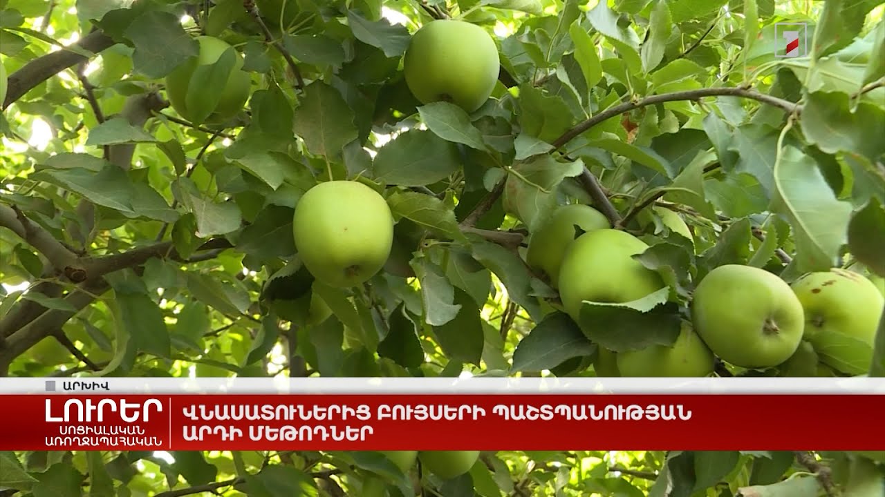 Վնասատուներից բույսերի պաշտպանության արդի մեթոդներ