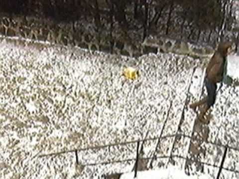 DIE LETZTEN MÜSSEN DIE ERSTEN SEIN Udo Lindenberg + Hans Hartz