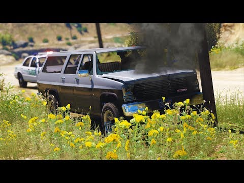 LSPDFR - Day 959 - Fleeing from Alarm