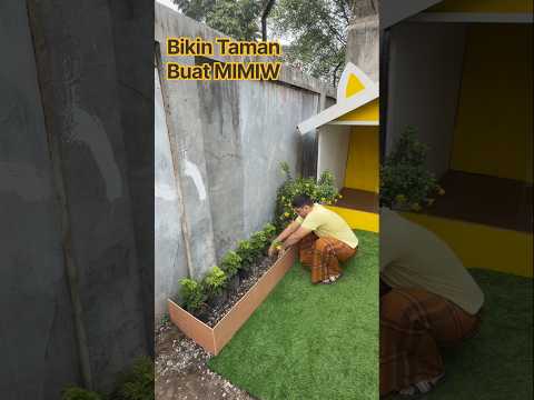 bantu subscribe guys agar makin semangat 😘 #kucing #anshor_pkutiktok