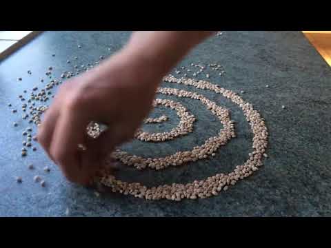 Reverse Video FX - Make magic video Video