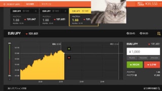 【FX】1万円から始める為替取引【BO】54