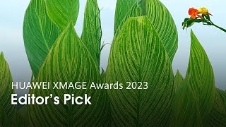Huawei XMAGE Awards 2023: Editor's Pick