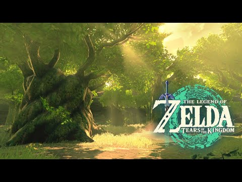🌳 Faron Woods｜Tears of the Kingdom｜ZELDA Ambience｜Relaxing Zelda BGM