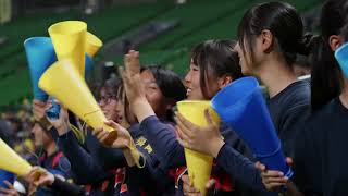 動画のサムネイル