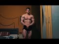 Physique Posing - 21 Year Old Aesthetics - Tim Leysen