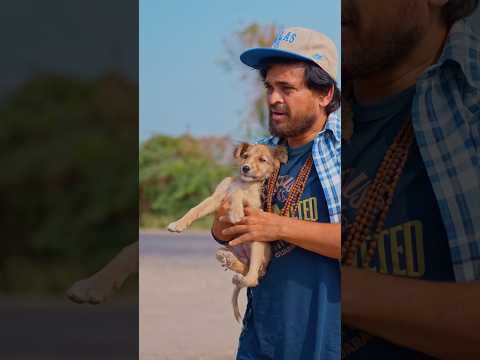 दो छोटे पिल्ले को बचा लिया #khajurbhai #jigliandkhajur #dog #new #home