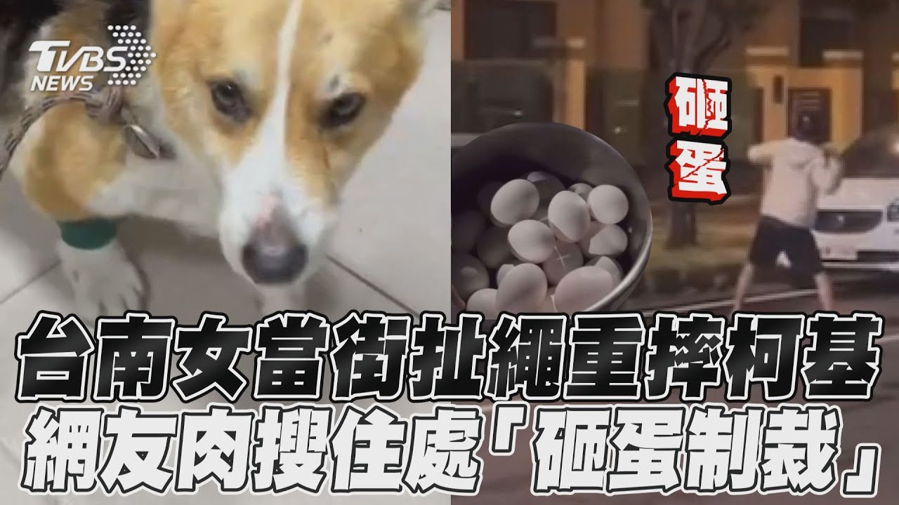 影音／台南女當街扯繩重摔柯基　網友肉搜住處「砸蛋制裁」