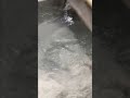 Sink Whirlpool