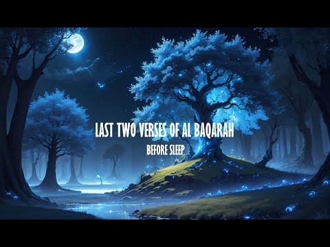 NIGHTTIME QURAN LAST TWO VERSES OF AL BAQARAH BEFORE SLEEP