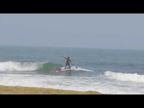 summertime ASCO team 2019