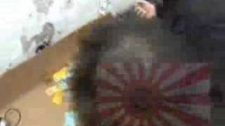 The Diplomats - Intergalactic Diplomacy [Preview]