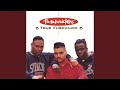 True Fuschnick Ragga Mix