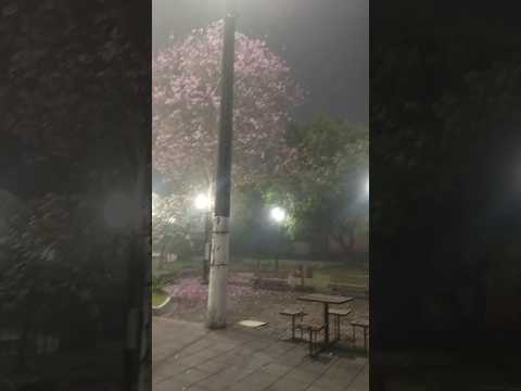 17/09/25, Santiago do Sul, SC.#turismo #viagem #santacatarina #santiagodosul