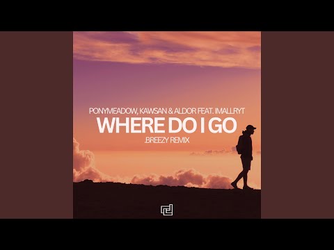 Where Do I Go (.breezy Extended Remix)