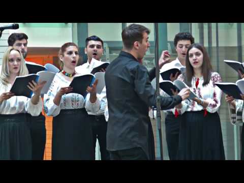 Corul Canticum - Freamăt de codru - P. Constantinescu