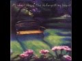 Real Music Album Sampler: The Unforgetting Heart by Michael Hoppé
