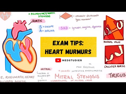 How to remember heart murmurs | Mnemonics, Diagrams & More | MedStudier