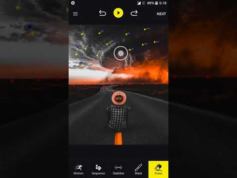 Live Wallpaper Loops - Photo in motion Video