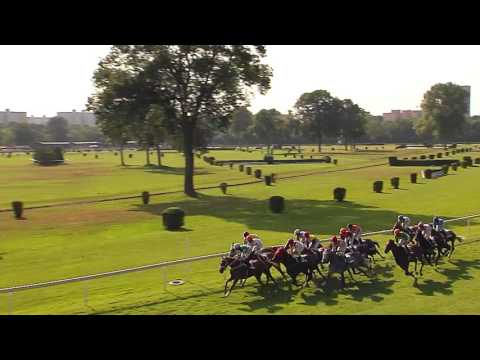 BA 24.06.2017 - Dostihy 7 - 24. Zlatý bičík RHAPIS