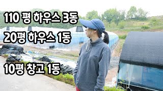 비닐 하우스, 창고 완성 외,내부 소개 (견적 3천)