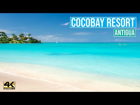 Videos del Cocobay Resort Antigua 4★ en Johnsons Point, Antigua y BarbudaVer MásVerPrecios19CerrarConsulta por Whatsapp 🇦🇷BookingTripadvisorExpediaAgodaTravelocityOrbitzPricelineTripSkyscannerDespegarKayakHotelesBestdayDestiniaTrivagoAlmundoLastminuteCheapticketsTui