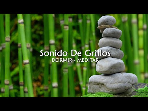 ✴️ 🦗 Sonido De Grillos | Dormir o Meditar 🧘🏻‍♂️🙏🏻💫
