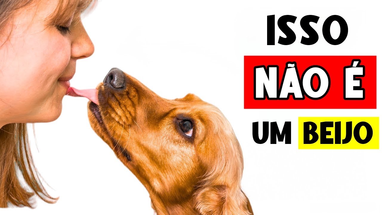When dogs LICK you, it means THIS! (ALL about dog licks) 🐶