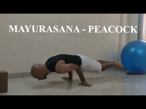 Mayurasana | Peacock | Double Arm Lever - Tutorial For Beginners