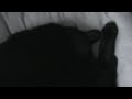 Ernie Snoring II