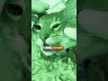 Why They Put Gel in Cats’ Eyes 😿
