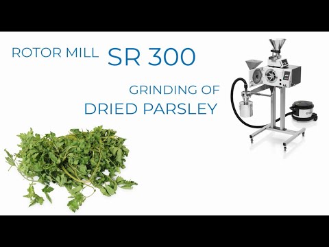 Fine grinding of dried parsley in Cutting Mill SM 300 -RETSCH