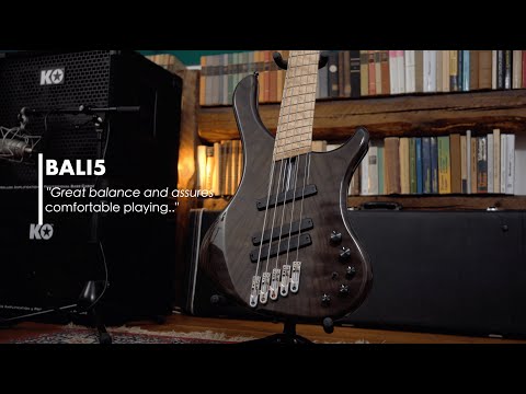 Blasius Bali5 Multiscale